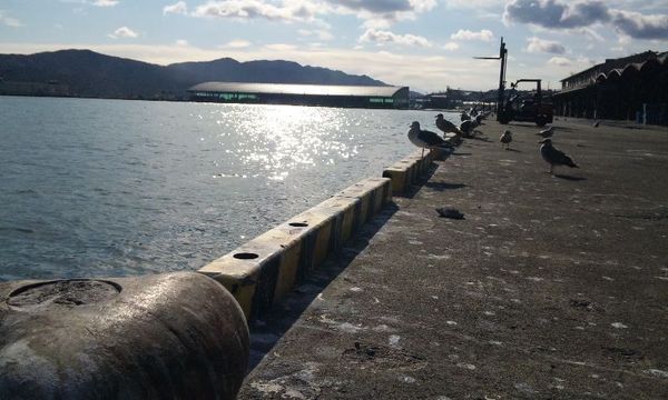 b0300769_1453435.jpg
