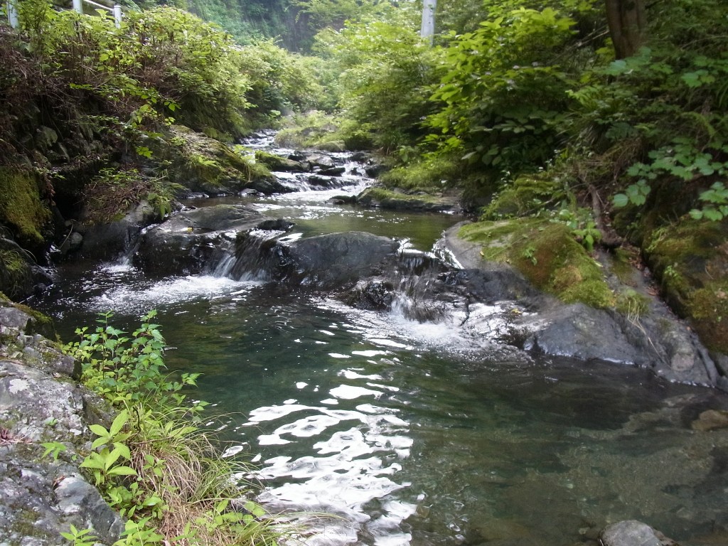 2013/08/14　中群山_d0233770_2034843.jpg