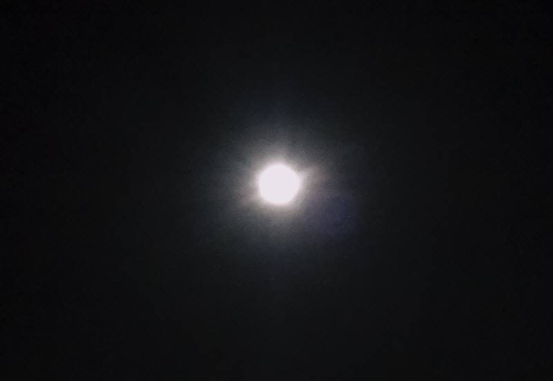 f0059673_0413475.jpg