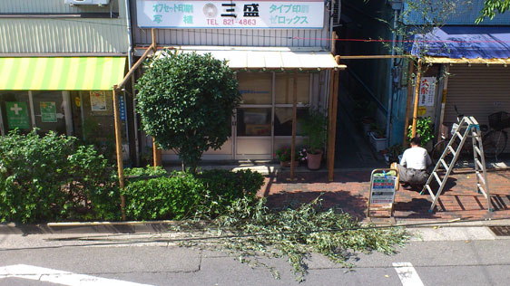 f0193076_14401337.jpg