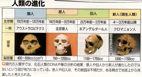 世界史演習③（世界史学習の方法と人類の誕生）_a0226578_10204931.jpg