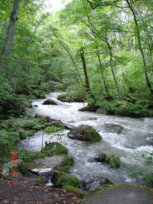 d0165378_94056.jpg