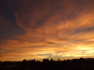 d0165589_0161330.jpg