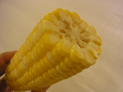着いていきなり・・・_a0128290_22435272.jpg