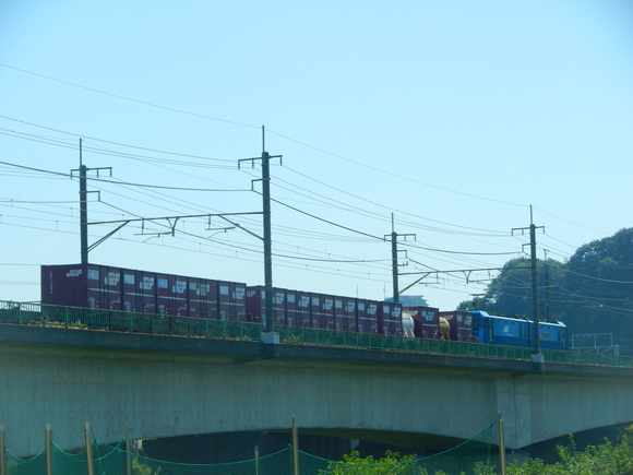 d0224990_1429927.jpg