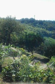 c0115092_9483451.jpg