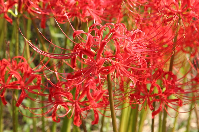 a0123003_2113104.jpg
