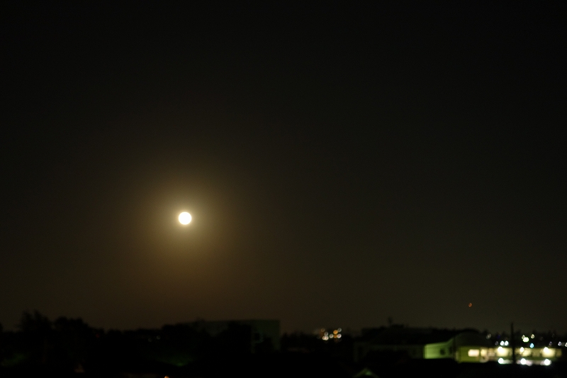 b0147203_22142556.jpg