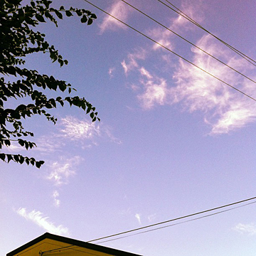 雲かるく 草たくましい秋_c0069903_7394624.jpg