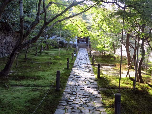 e0078706_231156100.jpg