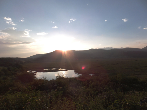 f0155808_211782.jpg