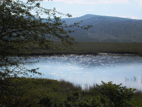 f0155808_2122549.jpg