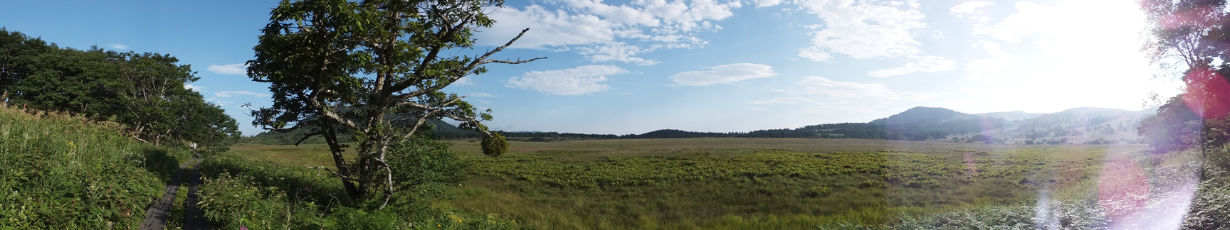 f0155808_21255125.jpg