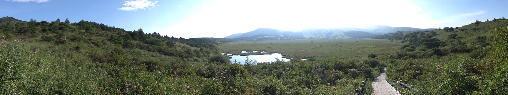 f0155808_21261835.jpg