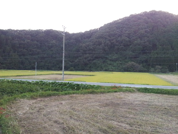 a0258409_1031780.jpg