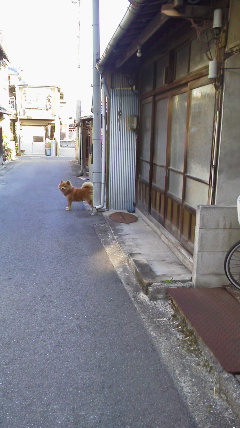お月様_b0182709_1943239.jpg