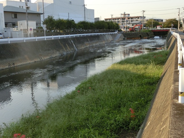 小潤井川の浚渫工事で感じる川が運ぶ大量の土砂_f0141310_7342525.jpg
