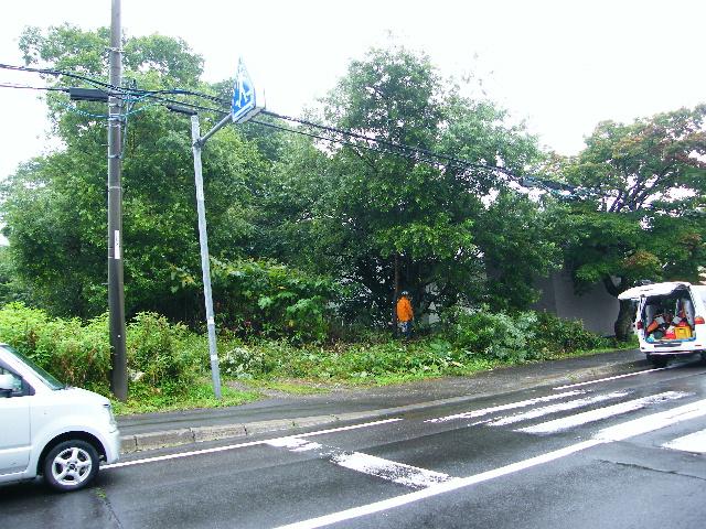 平成25年9月14-15日(土日)下山山林&Kさん所有地 _c0173813_1226599.jpg