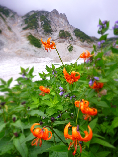 2013.9  白馬三山登山へ！　(1日目）_a0236914_1062273.jpg