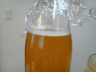 c0280016_1243537.jpg