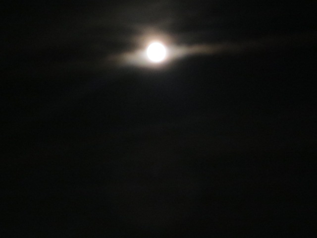 f0248616_1001510.jpg