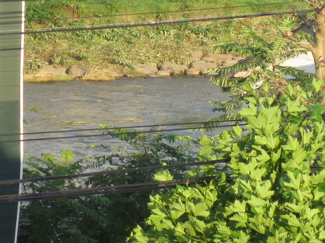 f0248616_9553536.jpg
