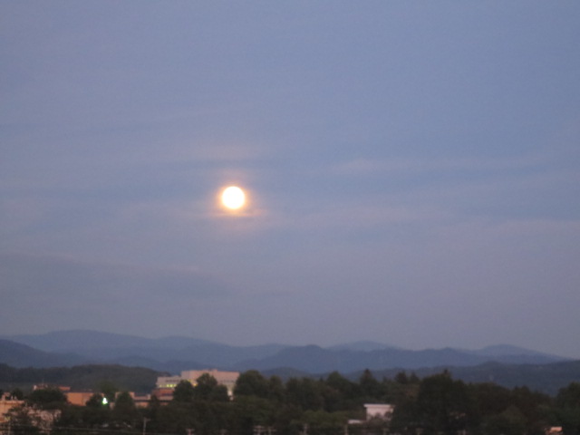 f0248616_959357.jpg