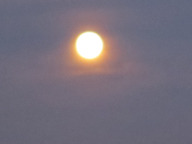 f0248616_9595218.jpg