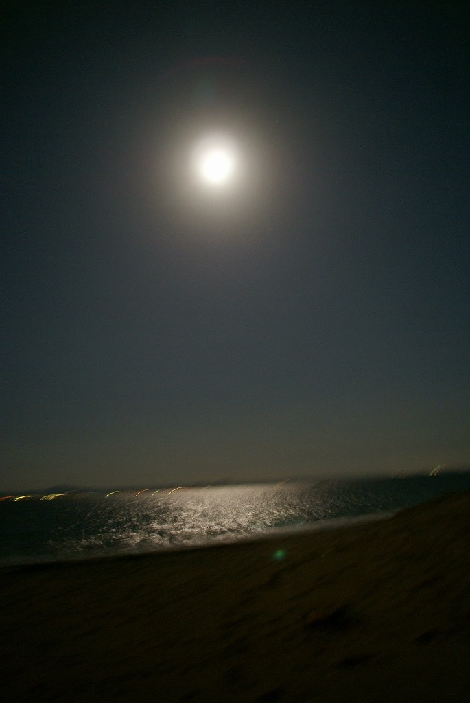 c0172517_1581427.jpg