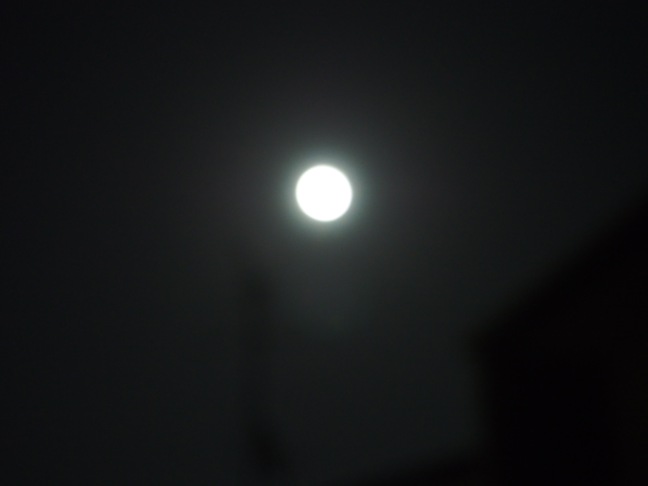 a0254318_0243623.jpg