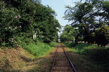 b0259218_04168.jpg