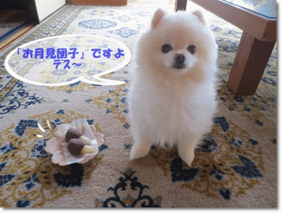 b0167519_16174572.gif