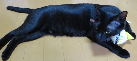 c0280322_23141220.jpg