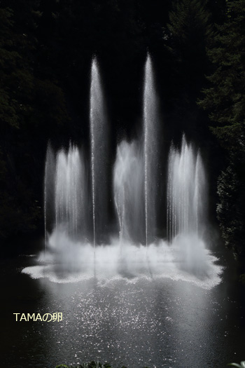 c0024729_203104.jpg