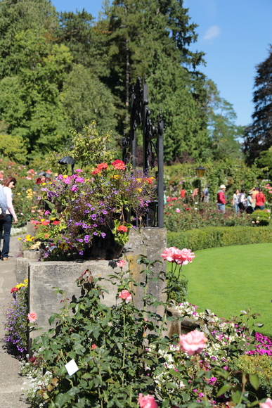 Butchart Gardens_c0024729_2033644.jpg