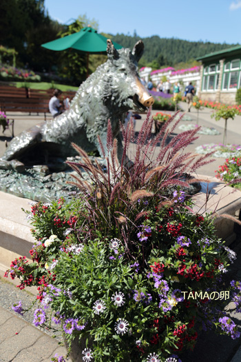 c0024729_20375456.jpg