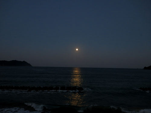 2013年9月19日(木・晴れ)宍喰_d0164831_9325243.jpg