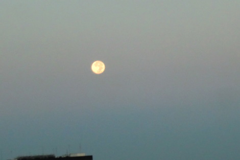 c0236632_89316.jpg