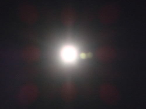 d0140533_937827.jpg