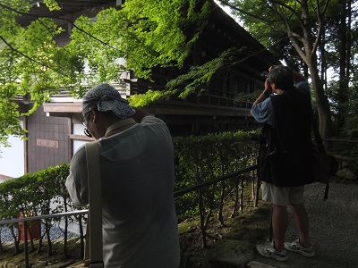 京都に現れた、くまさん兄弟_f0050534_0114996.jpg
