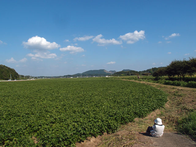 食事会と撮影を...県フラワーパークにて_f0103534_21462829.jpg