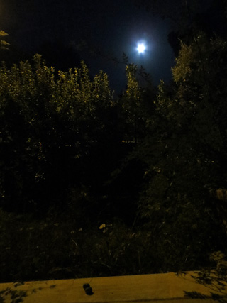 月夜の逢引きとカメラの手腕_f0234936_17372143.jpg