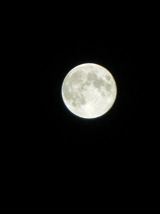 月夜の逢引きとカメラの手腕_f0234936_17375769.jpg