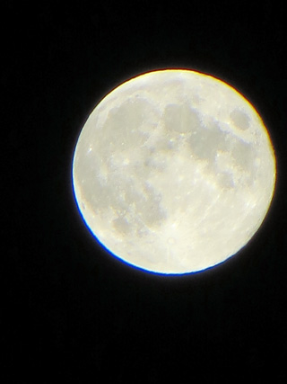 月夜の逢引きとカメラの手腕_f0234936_17381247.jpg