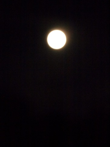 c0306839_7375652.jpg