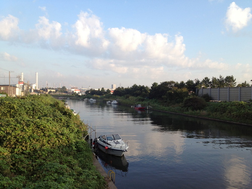 2013.09.20 千葉市 浜野 村田川_a0301640_20282123.jpg