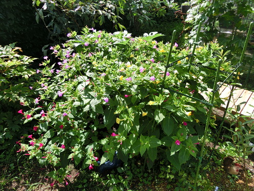 b0141042_03341.jpg