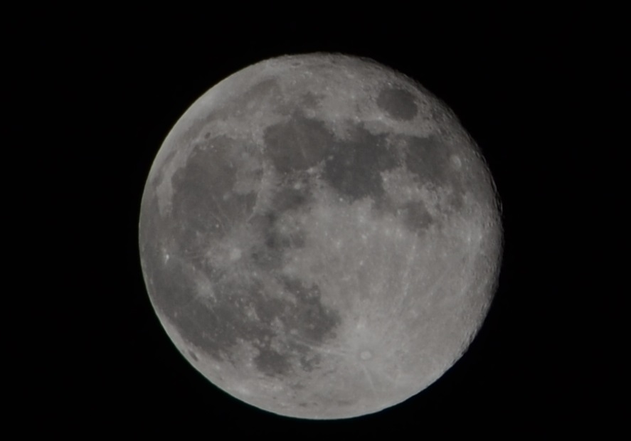 a0055650_21591226.jpg