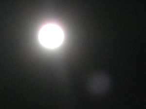 b0239151_12532428.jpg