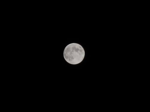 a0208560_1603390.jpg